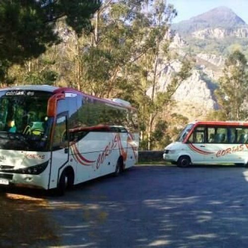 AUTO CORIAS