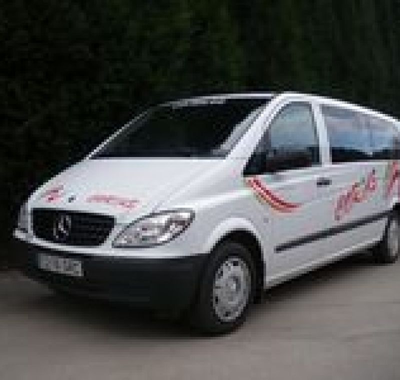 MINIBUS 8 PLAZAS