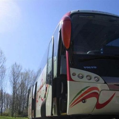 AUTO CORIAS